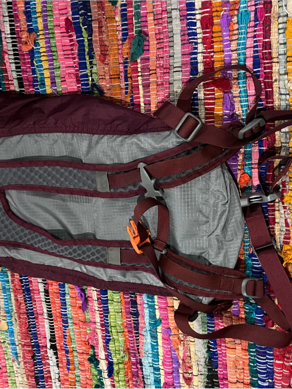 REI daypack